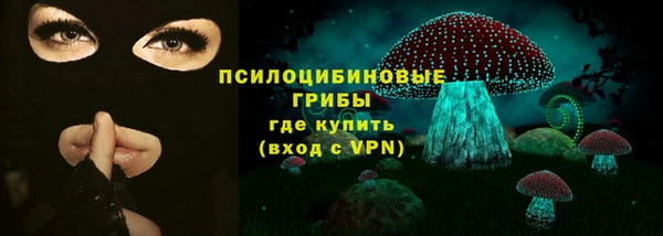 эйфоретик Алексин