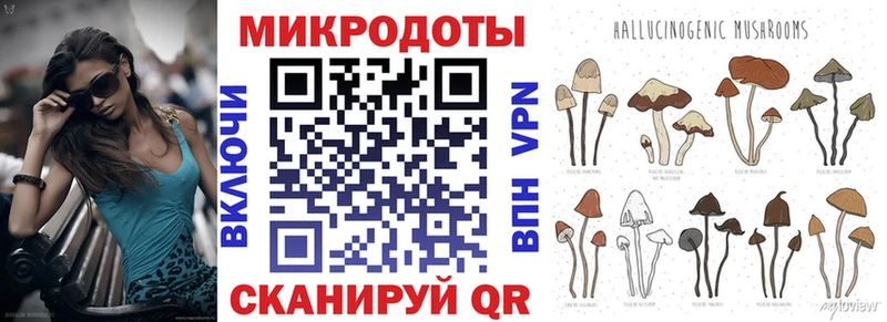 Галлюциногенные грибы прущие грибы  Балашов 